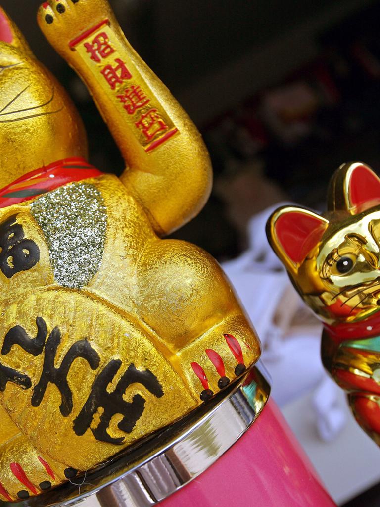 Leider liegt für dieses Bild keine Bildbeschreibung vor