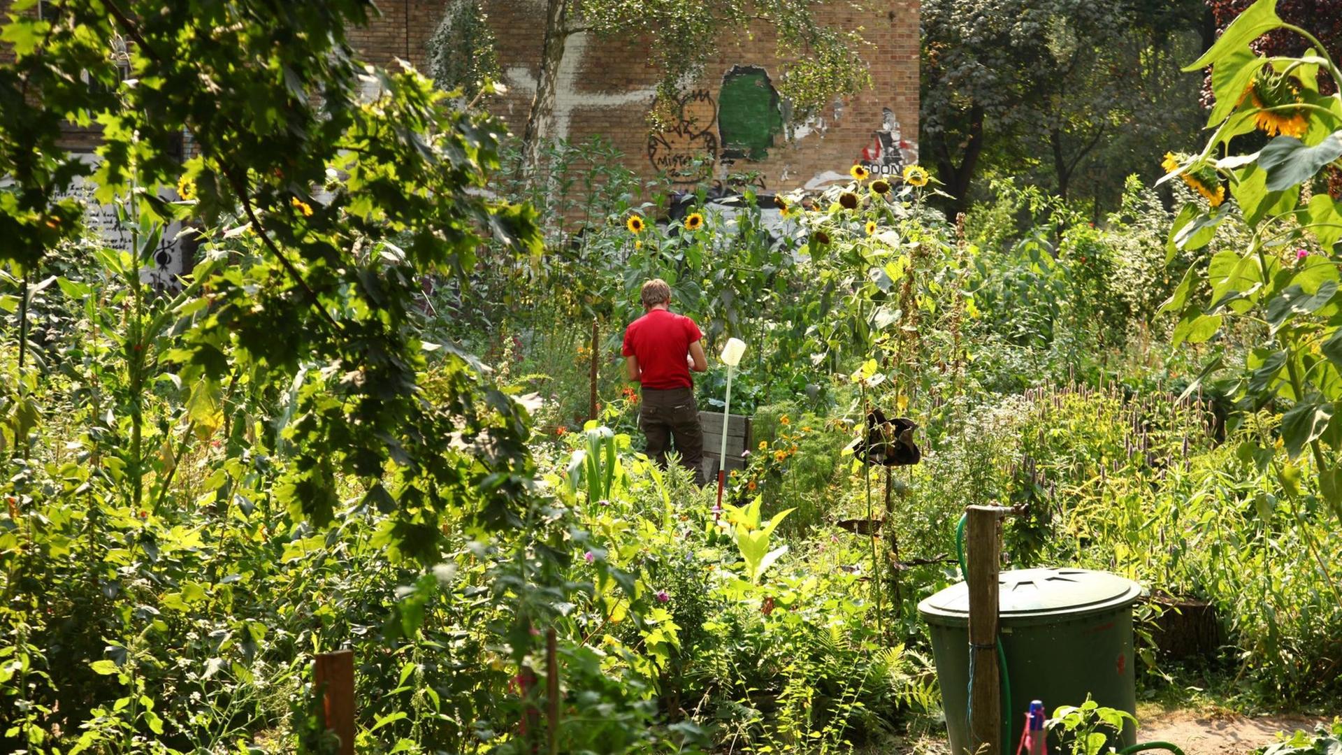 Philosophie der Gartenkunst "Der Garten der Zukunft ist ein