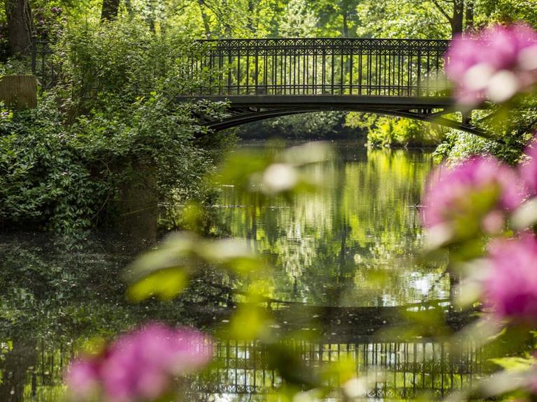 In der Nähe der Luiseninsel im großen Tiergarten liegt eine kleine, menschenleere Brücke, gesehen durch die blühenden Bäume und Rhododendronbüsche.