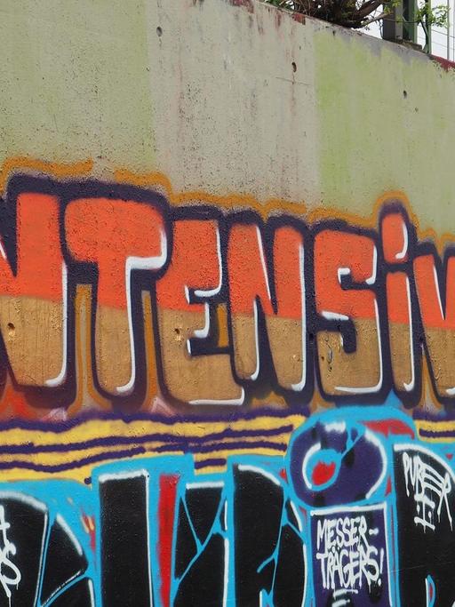 An einer Wand in Berlin steht der Schriftzug "Intensivtäter", aufgenommen am 05.05.2015.