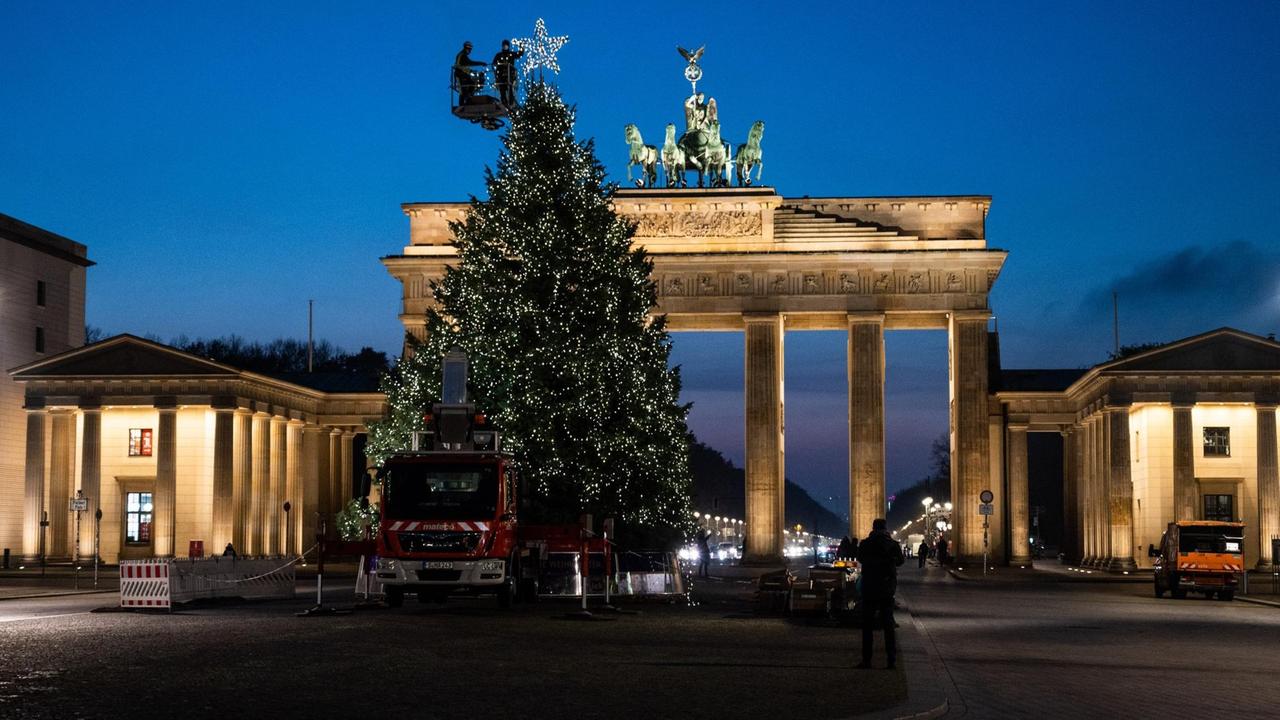 Der Weihnachtsbaum vor dem Brandenburger Tor wird geschmückt.