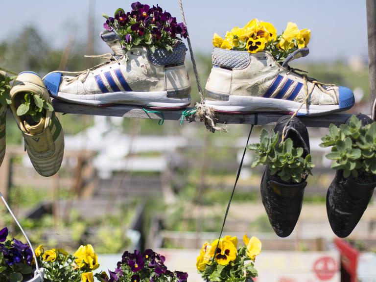 Der Garten auf dem als Tempelhofer Feld in Berlin.