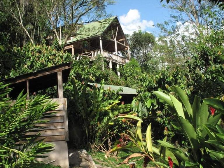 Inmitten von Bananenpflanzen und tropischen Bäumen steht ein Holzhaus.