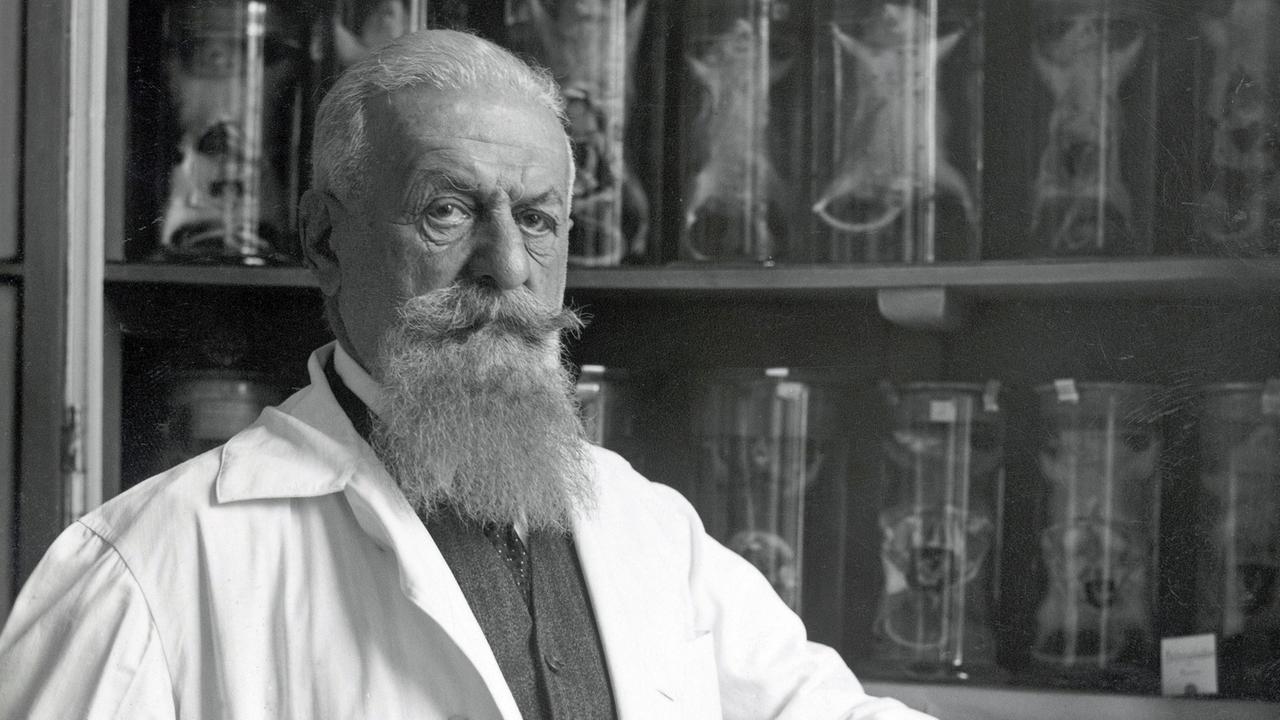 Ein Schwarz-Weiß-Foto zeigt Eugen Steinach, der vor einem Regal mit wissenschaftlichen Präparaten steht, aufgenommen um 1940.