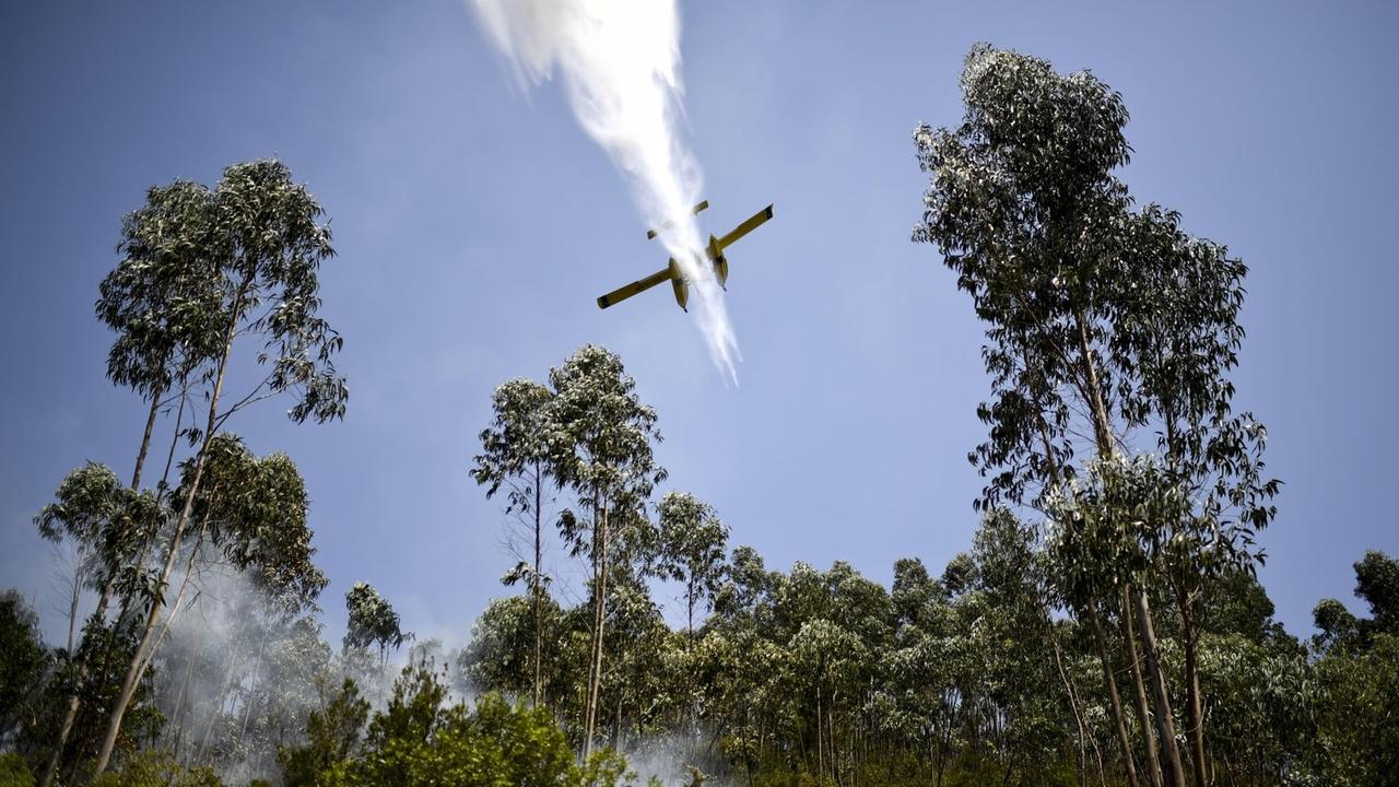 Ein Löschflugzeug wirft  am 20. Juni Wasser über einem Brandherd in Cernache de Bonjardim in Serta/Portugal ab.