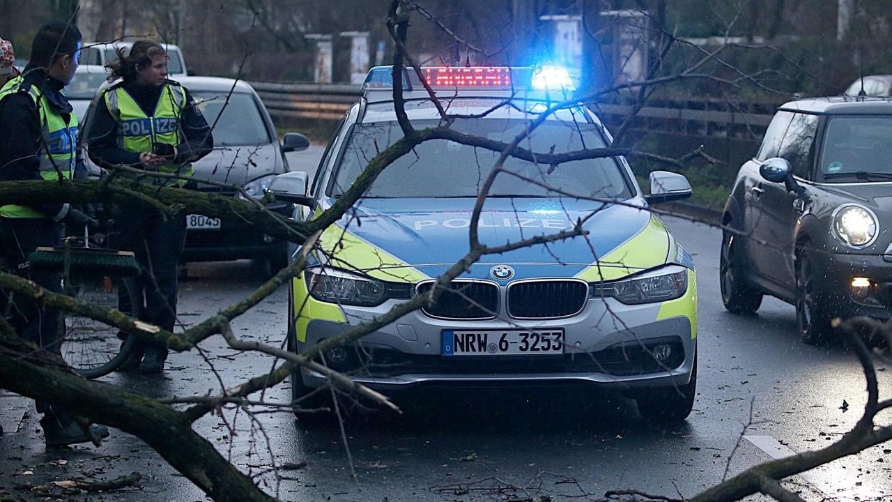 Polizisten beseitigen in Köln einen umgestürzten Baum von einer Straße.