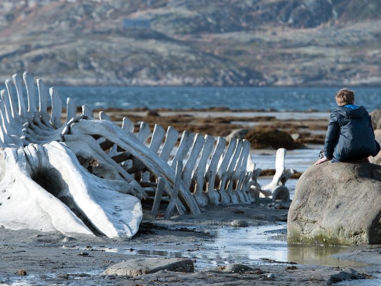 Der Junge Roma, gespielt von Sergej Pochodajew, sitzt neben einem Walgerippe am Meer der russischen Halbinsel Kola - eine Szene des Films "Leviathan" von Andrej Swajginzew aus dem Jahr 2014.