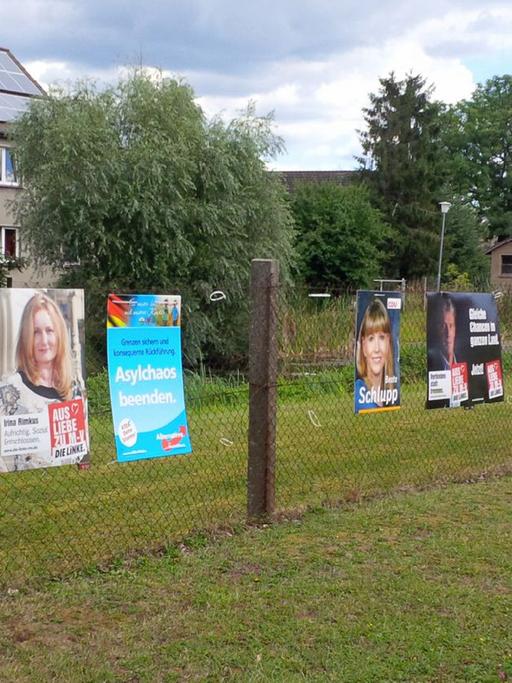 Wahlplakate vor der Landtagswahl in Mecklenburg-Vorpommern