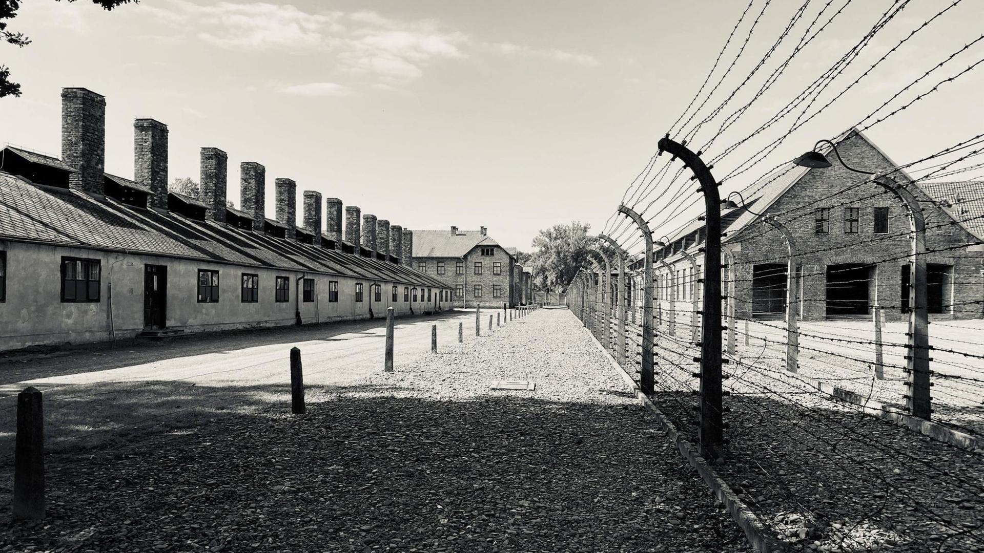Schwarzweißfoto von Baracken und Stacheldrahtzaun im Konzentrationslager Auschwitz.
