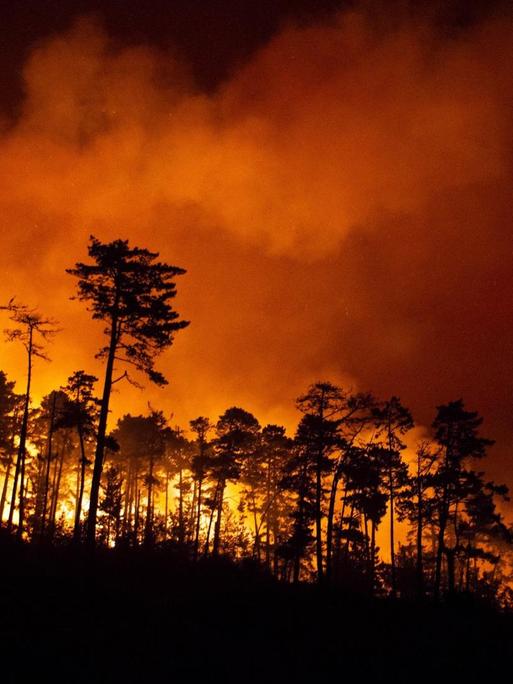 Waldbrände wüten in den Bergen von Santa Cruz