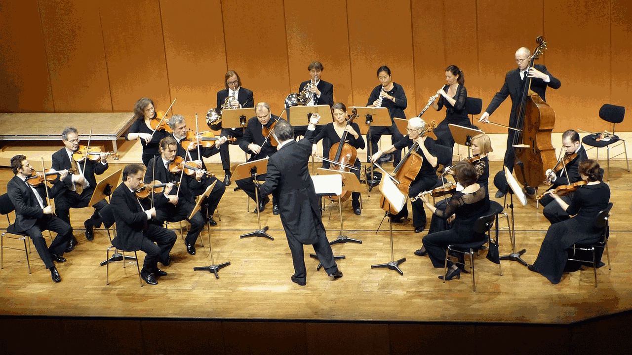 Zu sehen ist ein Orchester. Ein Orchester ist eine Gruppe von Musikern.