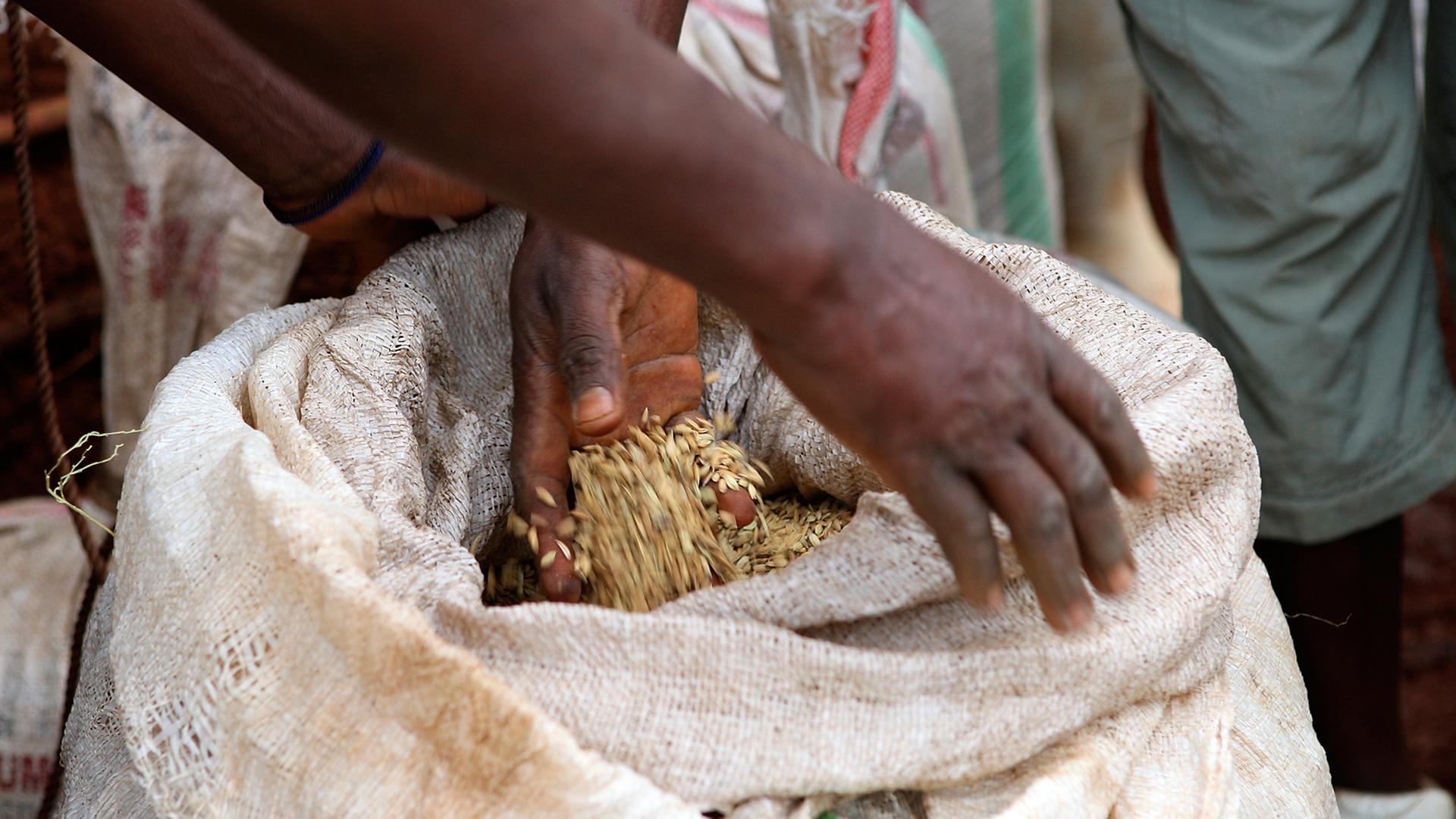 Reisversorgung auf einem Markt in der Demokratischen Republik Kongo.
