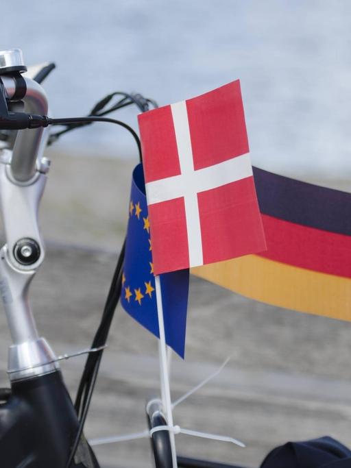 Fahradlenker mit deutscher, dänischer und europäischer Fahne