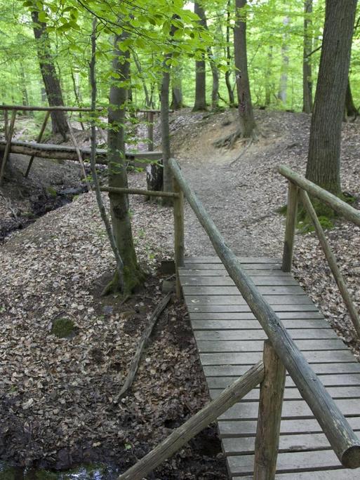 Holzbrücken über den Hasselbach am Wanderweg Steckeschlääfer Klamm im Morgenbachtal Binger Stadtwal