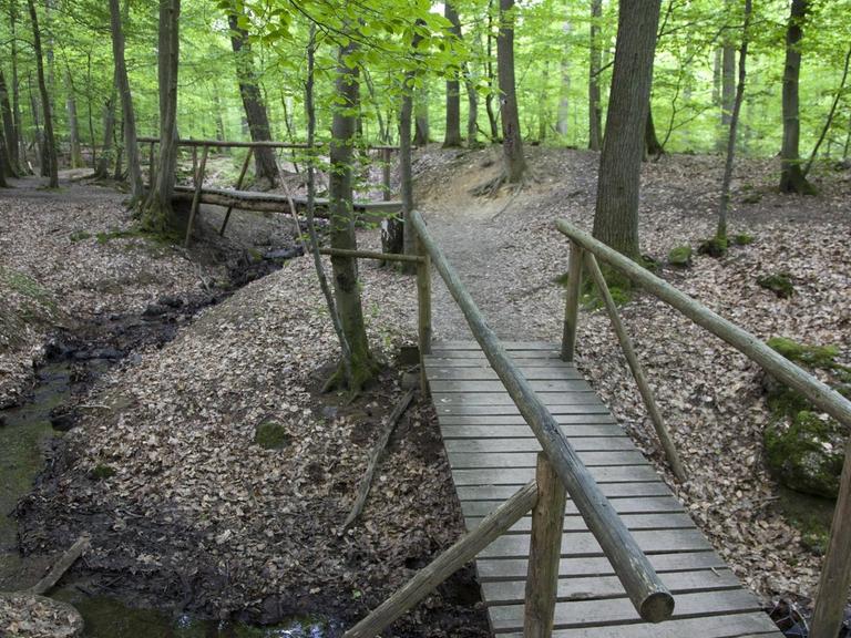 Holzbrücken über den Hasselbach am Wanderweg Steckeschlääfer Klamm im Morgenbachtal Binger Stadtwal
