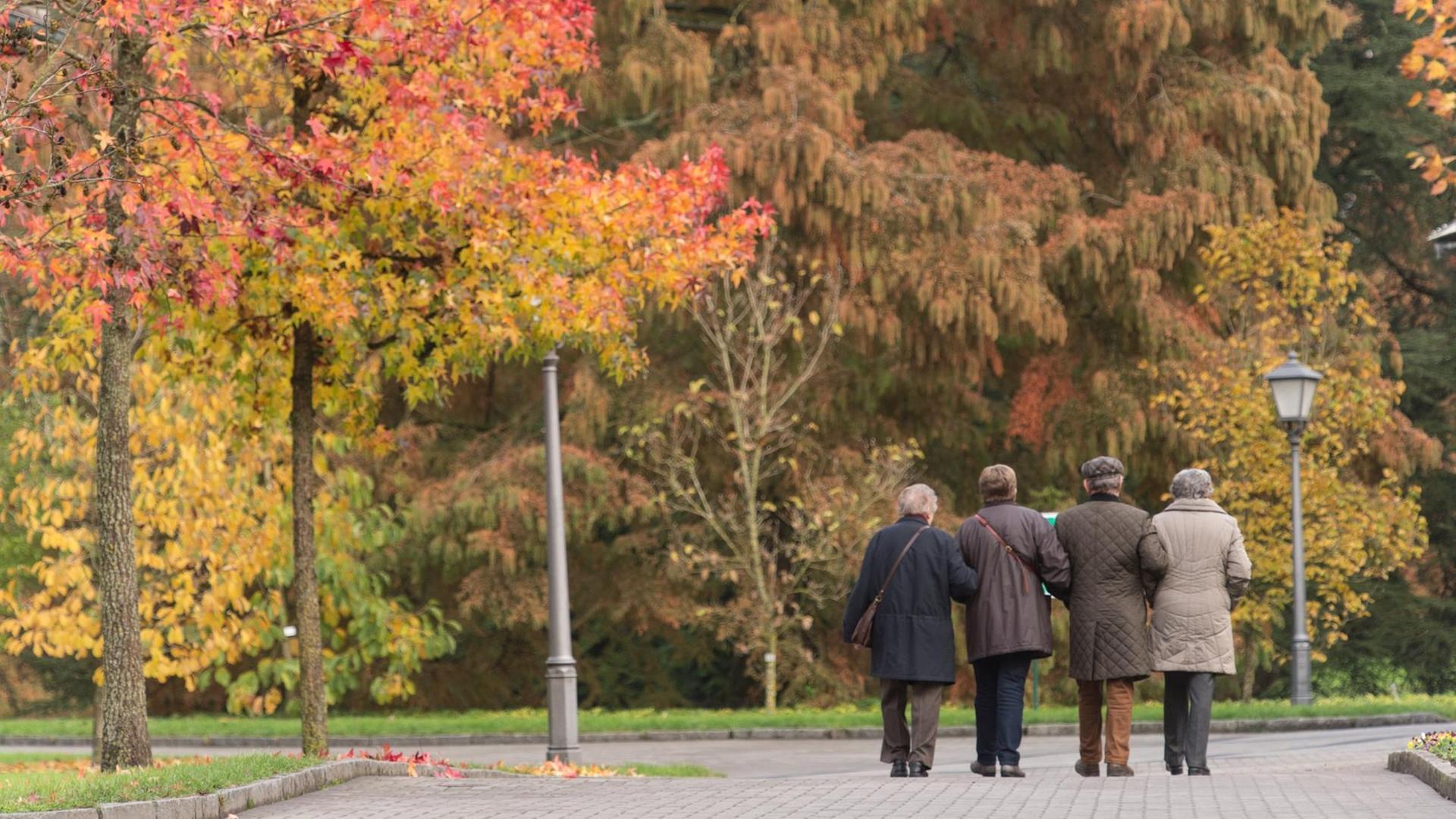 Sie sehen vier Senioren von hinten in einem Park, es ist Herbst.