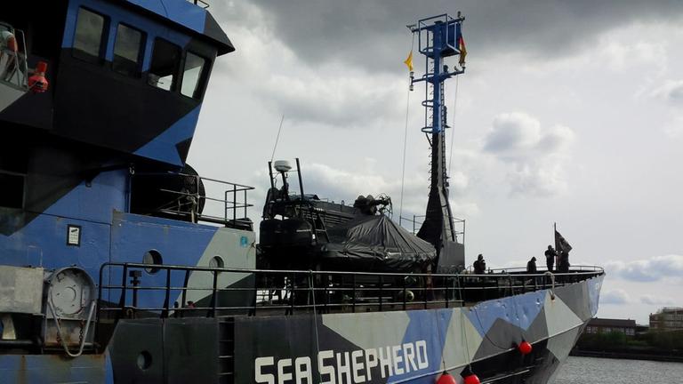 Ein Schiff der Organisation "Sea Shepherd"