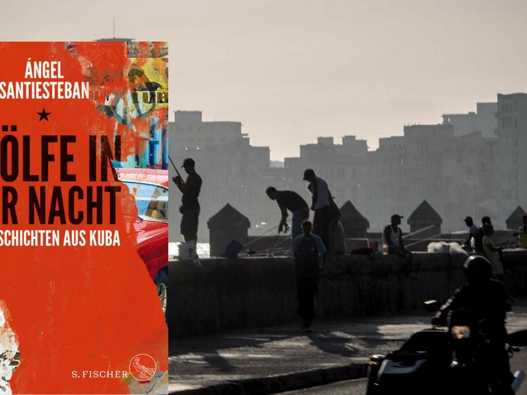 Buchcover: Ángel Santiesteban: „Wölfe in der Nacht“