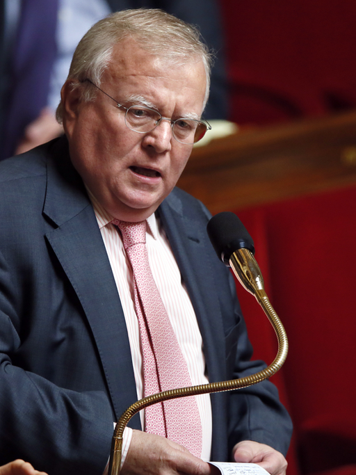 Jacques Myard, Abgeordneter der UMP