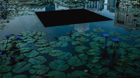 Blick auf einen Teich mit Seerosen auf dem eine dunkle Plattform schwimmt. Am oberen Rand spiegelt sich die Stadt im Wasser. Die Töne sind dunkel gehalten.
