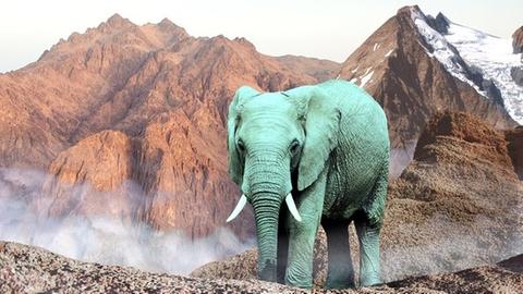 Befremdlich: Elefant vor hochalpiner Bergkulisse