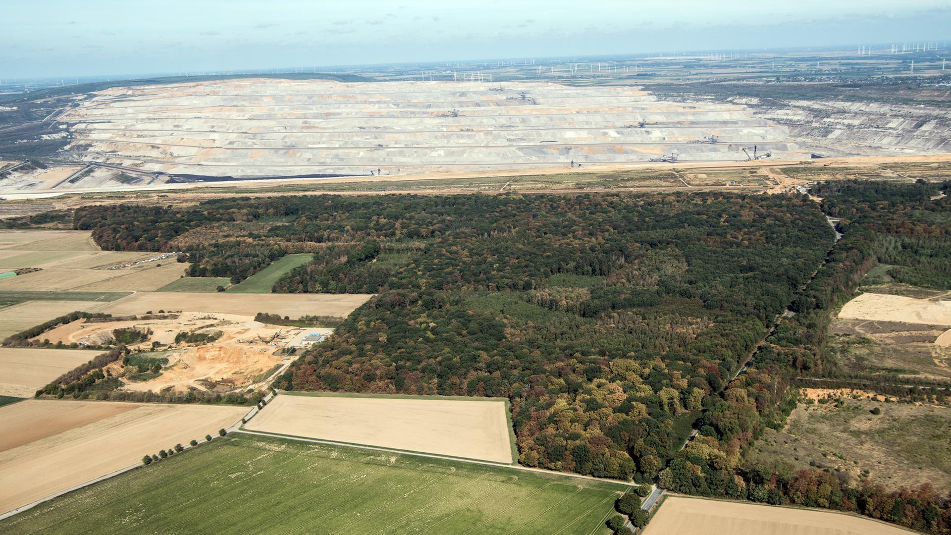 Der Tagebau Hambach schiebt sich an den Hambacher Forst. Der Hambacher Forst zwischen Köln und Aachen gilt als Symbol des Widerstands gegen die Kohle. RWE will für den Braunkohleabbau mehr als 100 der verbliebenen 200 Hektar Wald abholzen.