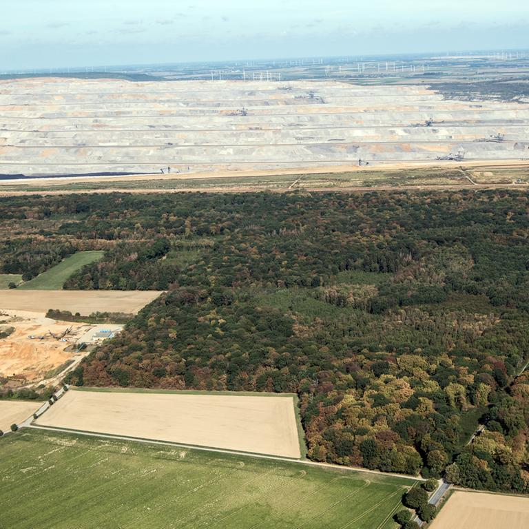 Nordrhein-Westfalen - Hambacher Forst soll Urwald 