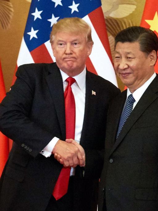 US-Präsident Donald Trump und Chinas Präsident Xi Jinping geben einander am 9.11.2017 in Peking die Hand.