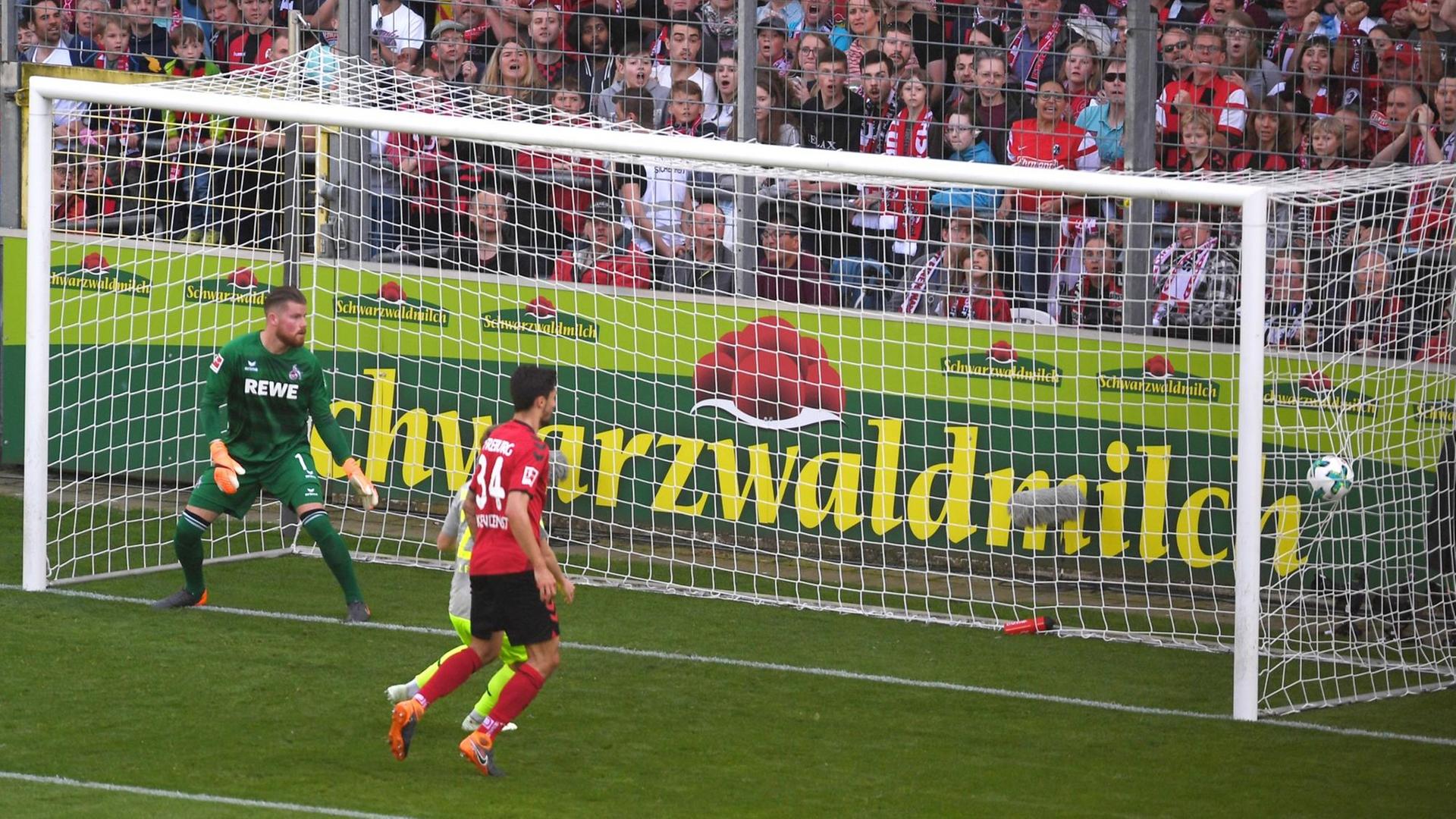Das Foto zeigt Timo Horn vom 1. FC Köln, der dem Ball beim 0:1 gegen den SC Freiburg hinterherschaut. Das Foto zeigt Timo Horn vom 1. FC Köln, der dem Ball beim 0:1 gegen den SC Freiburg hinterherschaut.