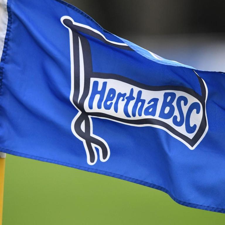Hertha BSC-Fahne