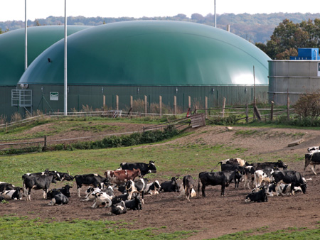 Eine Biogasanlage 