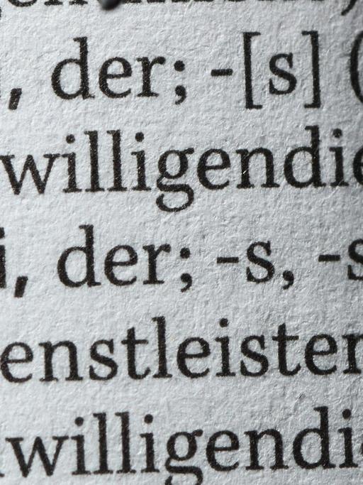 Der Begriff Bufdi ist am 29.06.2013 im neuen Duden des Jahres 2013 zu sehen. Das Wort gehört zu den Neuaufnahmen in der 26. Auflage des Wörterbuches der deutschen Sprache.