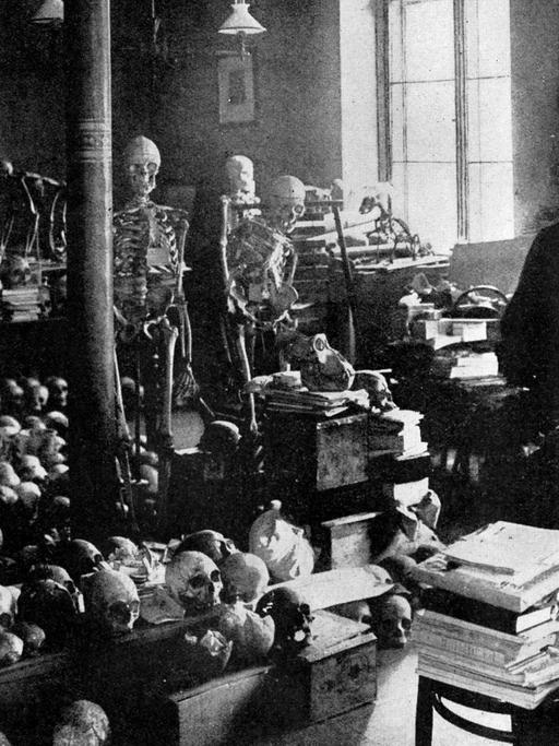 Ein Schwarz-Weiß Foto zeigt den Mediziner Rudolf Virchow neben zahlreichen Skeletten und Schädeln im Berliner Institut für Pathologie Berlin
