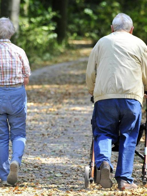 Hannover, 03.09.16: Zwei Senioren laufen durch den Park, einer mit Rollator.