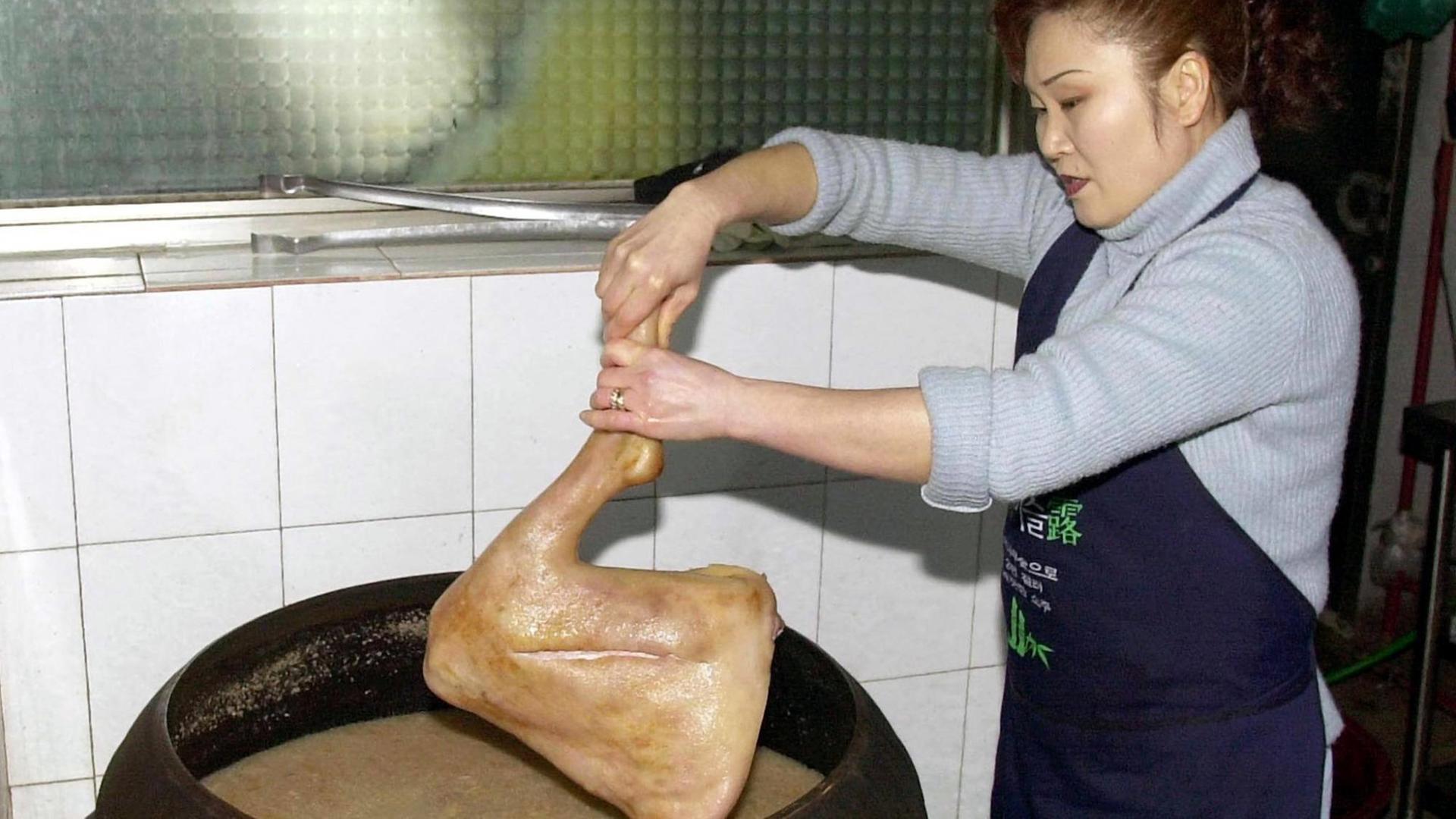 Die Köchin eines Hunderestaurants in Seoul taucht einen frischen Hundeschenkel in einen Topf mit kochender Brühe.