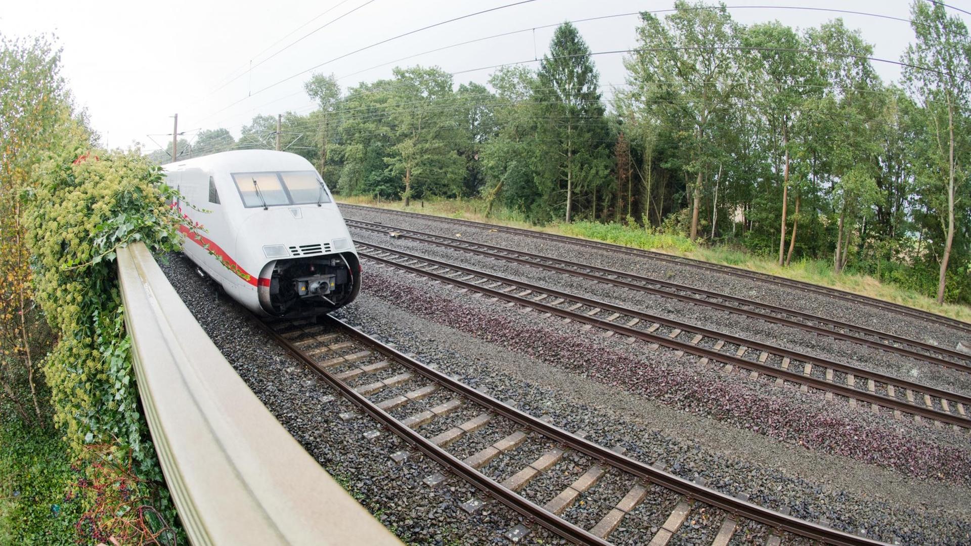 Ein ICE der Deutschen Bahn steht im Landkreis Gifhorn (Niedersachsen) auf der Trasse Hannover-Berlin.