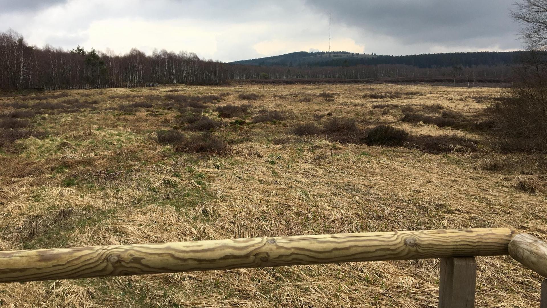 Offenland im "Roten Moor" in der hessischen Rhön.