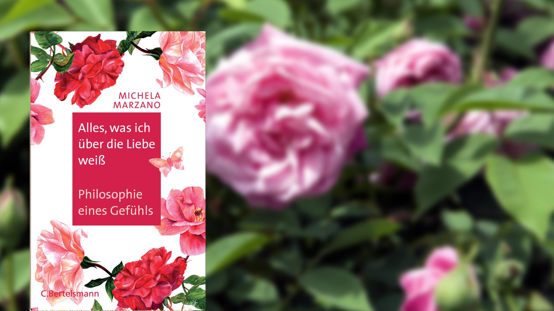 Im Vordergrund das Cover des Buches "Alles, was ich über die Liebe weiß - Philosophie eines Gefühls", im Hintergrund ein Bild mit einem Rosenstrauch