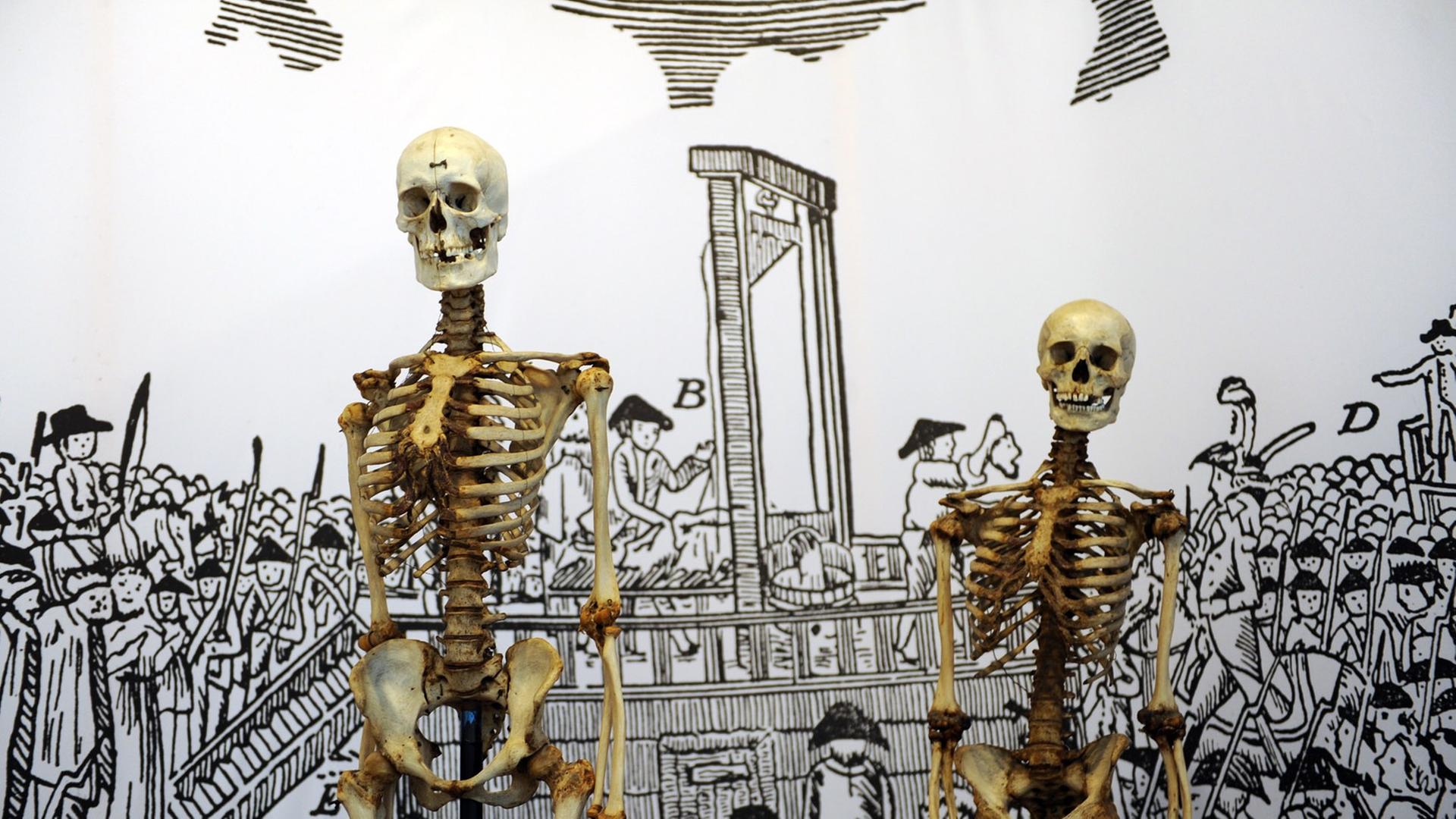 Zwei Skelette stehen am Mittwoch (25.01.2012) im Kasseler Museum vor einer Leinwand mit Hinrichtungsszene. Das linke Skelett ist vermutlich das des Räubers "Schinderhannes", das rechte das seines Kumpanen, dem "Schwarzen Jonas". Sie sind im Rahmen der Ausstellung "Galgen, Rad und Scheiterhaufen - Einblicke in Orte des Grauens zu sehen".