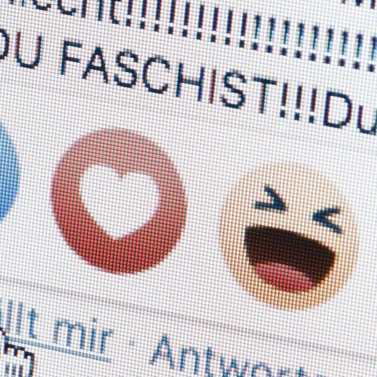 Neben dem "Gefällt mir"-Button von Facebook sind die Worte "Du Faschist" zu sehen.