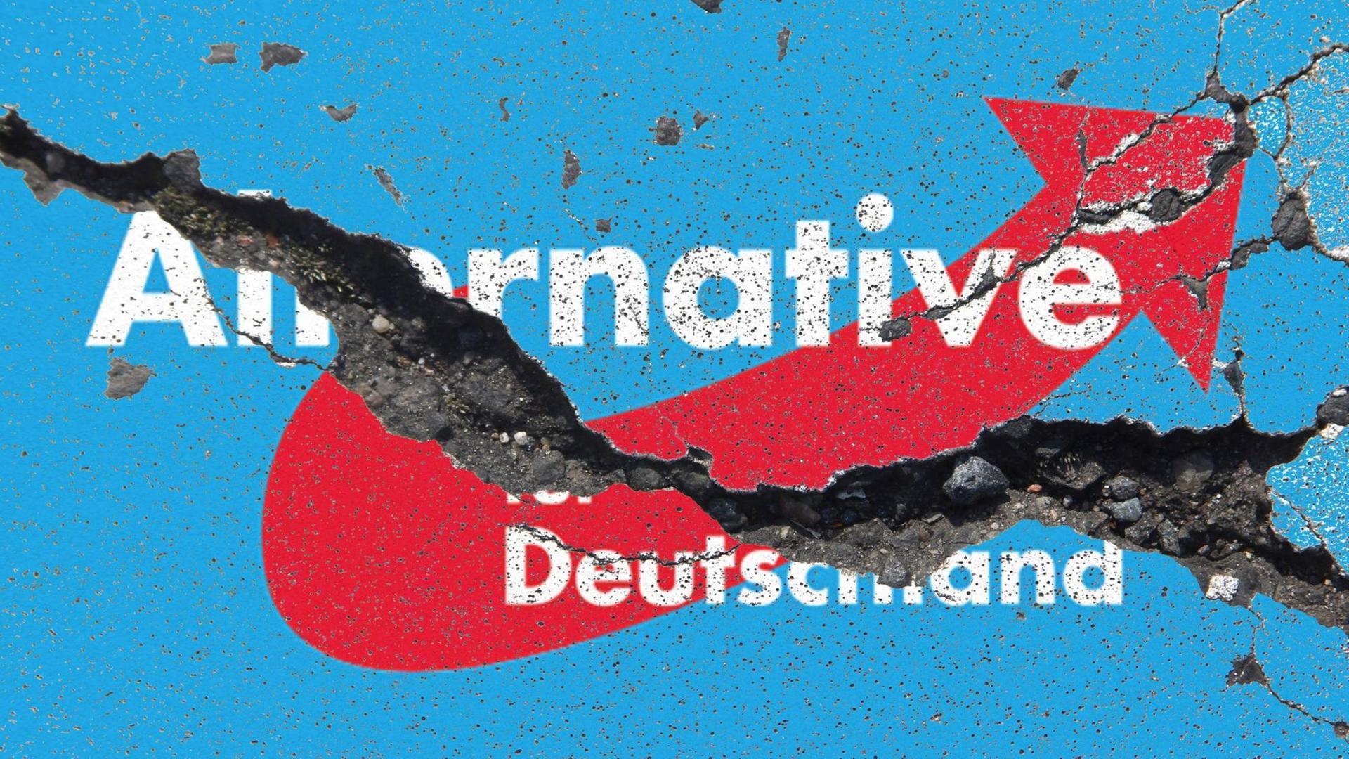 Ein Riß geht durch die AfD - das hat sich am Wochenende beim Parteitag in NRW gezeigt
