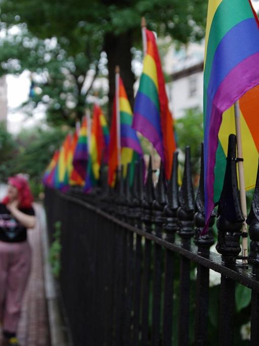 An einem Stahlzaun sind Regenbogenflaggen befestigt. In der Unschärfe laufen Frauen vorbei. Eine trägt eine pinke Frisur.
