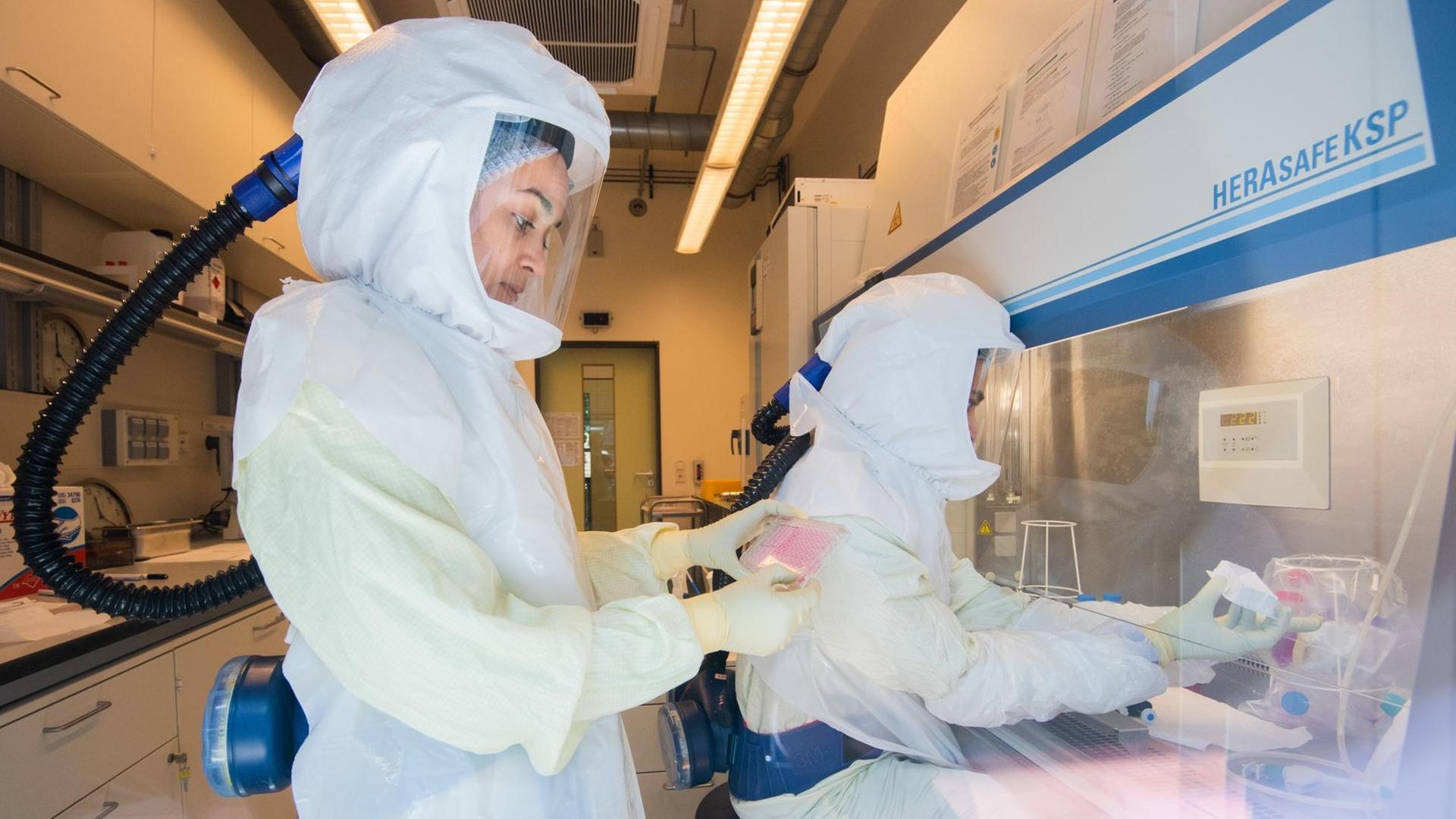 Eine Wissenschaftlerin hält eine Multiwellplatte mit vom Coronavirus infizierten Zellkulturen in einem Labor der biologischen Sicherheitsstufe 3 (Hochsicherheitslabor) im Helmholtz-Zentrum für Infektionsforschung HZI.