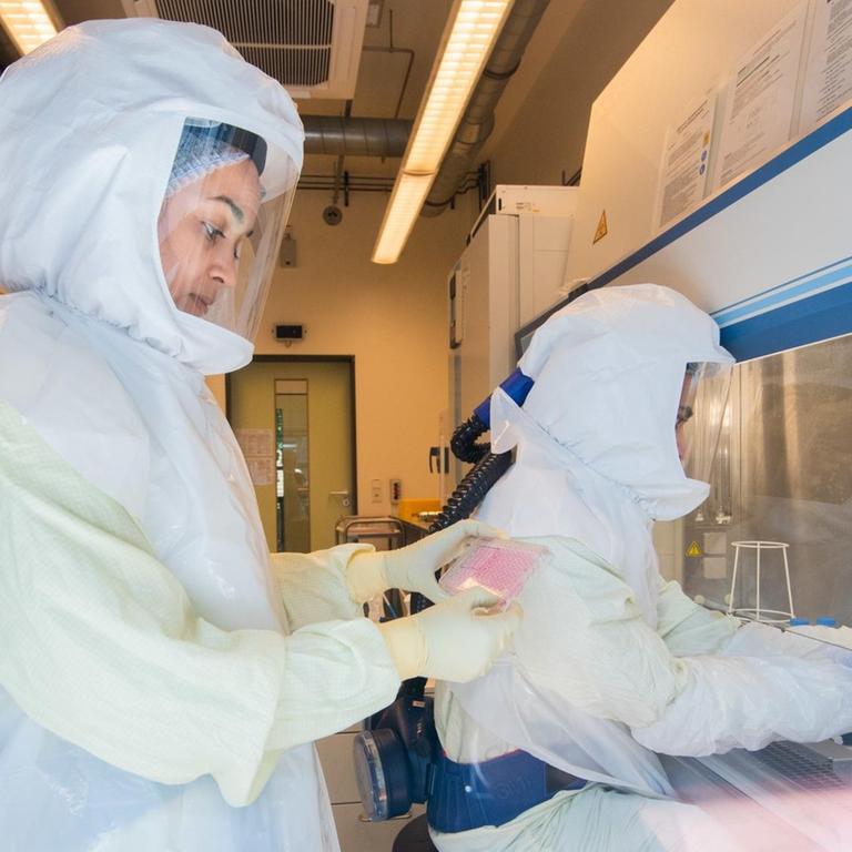 Eine Wissenschaftlerin hält eine Multiwellplatte mit vom Coronavirus infizierten Zellkulturen in einem Labor der biologischen Sicherheitsstufe 3 (Hochsicherheitslabor) im Helmholtz-Zentrum für Infektionsforschung HZI. 