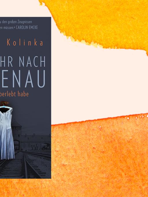 Cover: "Rückkehr nach Birkenau" von Ginetta Kolinka