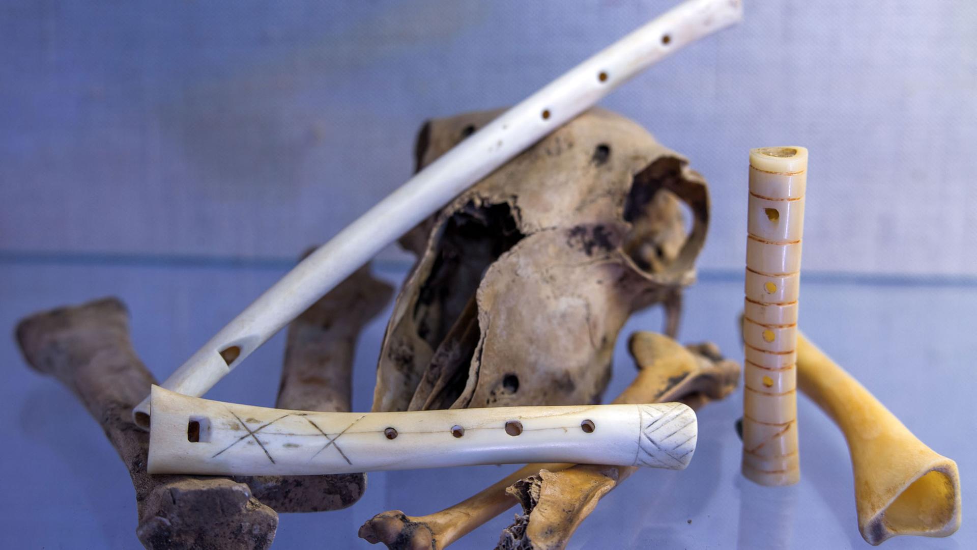 Nachgebaute Knochenflöten, aufgenommen am 02.07.2015 in der Werkstatt von Instrumentenbauer Ralf Gehler in Schwerin (Mecklenburg-Vorpommern)