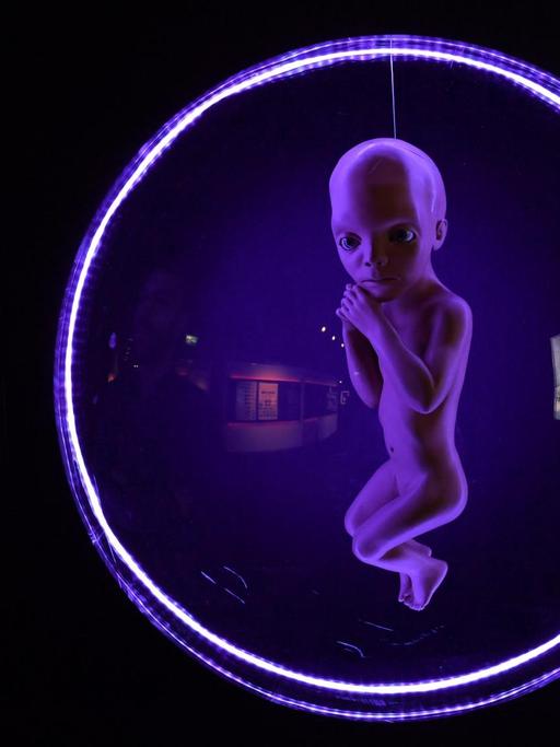 Das Exponat "Starchild" ist in der Ausstellung "Kubricks 2001. 50 Jahre A Space Odyssey" im Deutschen Filmmuseum zu sehen. Aus Anlass des 50. Jahrestags der Erstaufführung des Films gibt die Ausstellung vom 21. März bis zum 23. September 2018 Einblicke in die Entstehungsgeschichte des Science-Fiction-Klassikers.