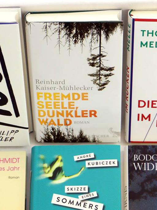 Das sind die Bücher der Shortlist 2016.