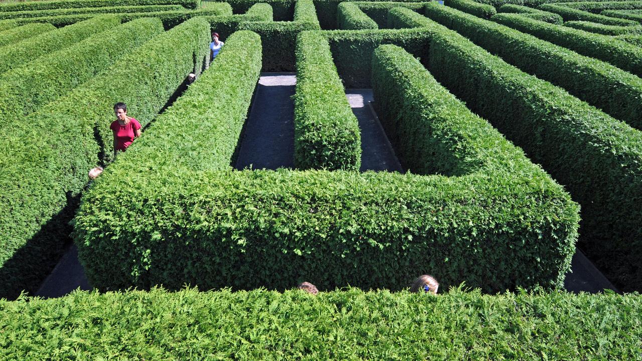 Ein Labyrinth aus einer mannshohen Hecke.