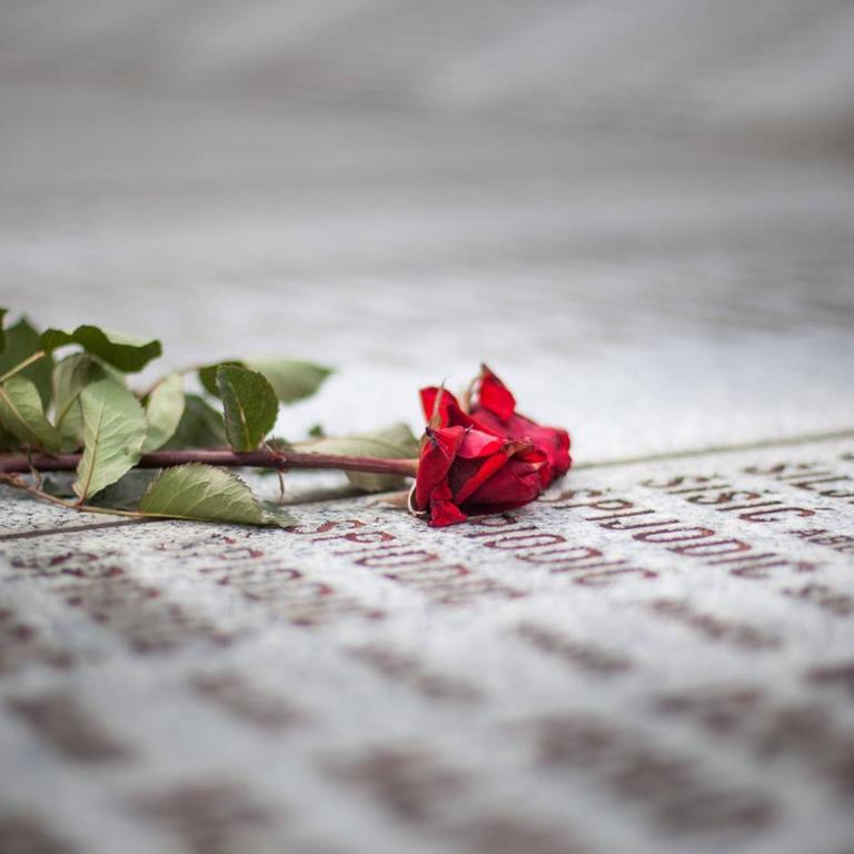 Eine rote Rose liegt auf einer Gedenktafel.